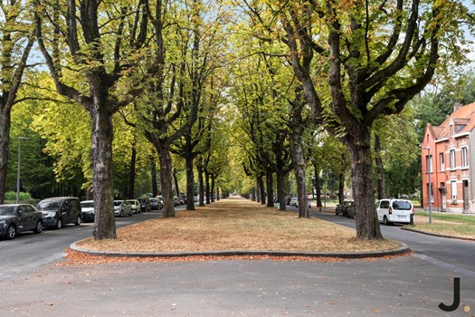 Maison de ville à Courtrai