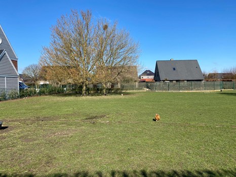 Terrain à Dottenijs