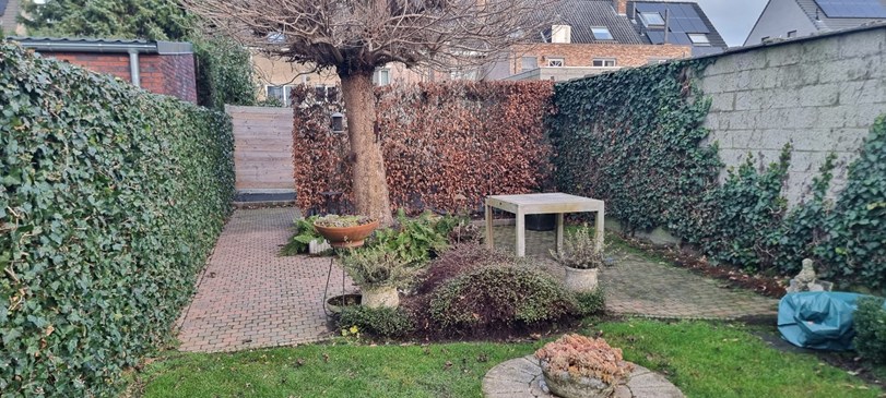 Met optie - reservatie woning - Antwerpen