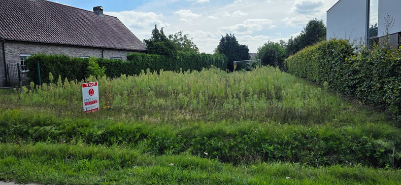 Te koop grond - Pulderbos