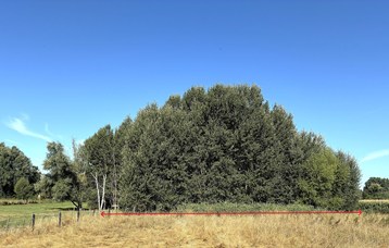 Te koop - Landbouwgrond - Hofstade