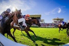 Oostende koers sfeer actie