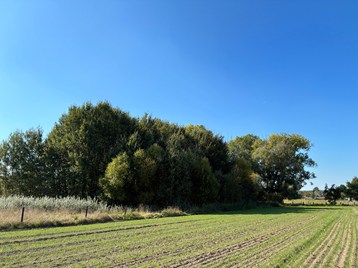 Te koop - Landbouwgrond - Hofstade