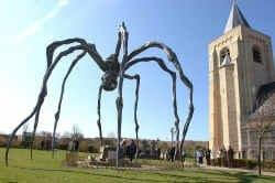 Beaufort 2006 Oostende