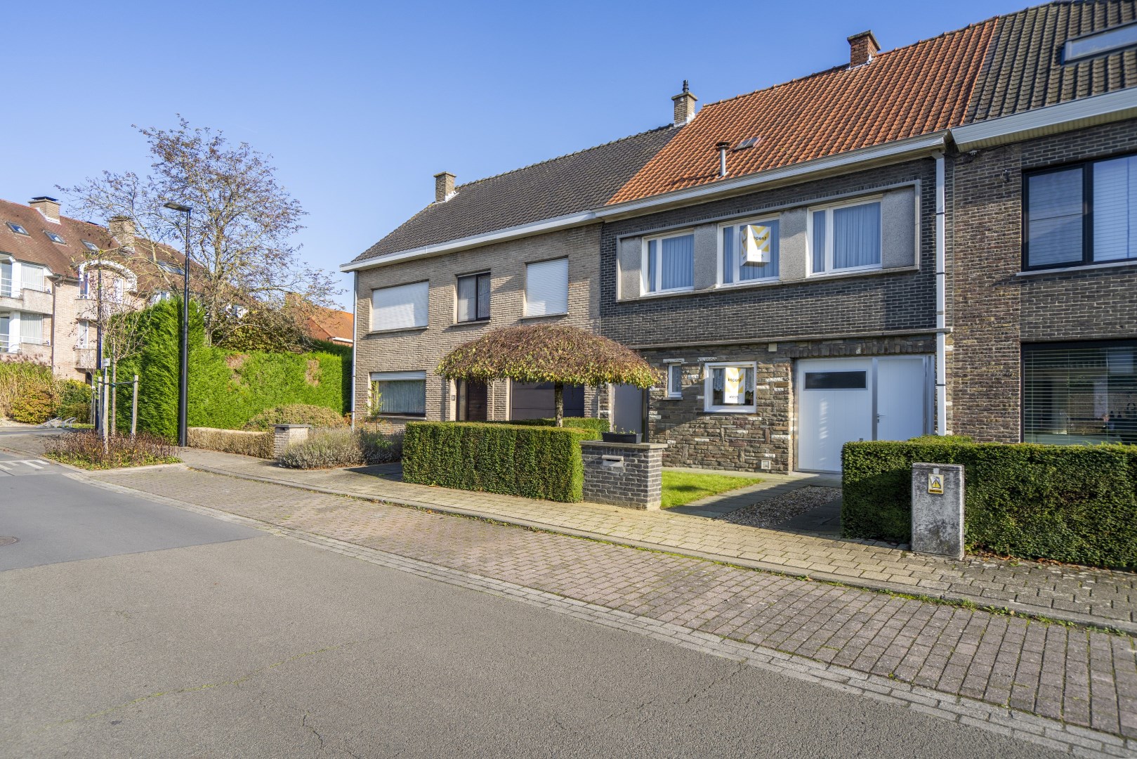 Mimosa 10, dat moet je zien!