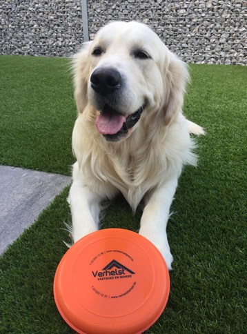 huisdier appartement