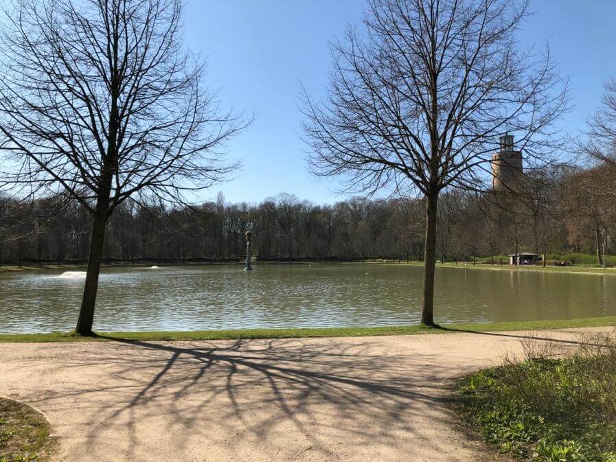 Bijver Maria Hendrikapark