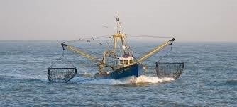Vissersboot Oostende