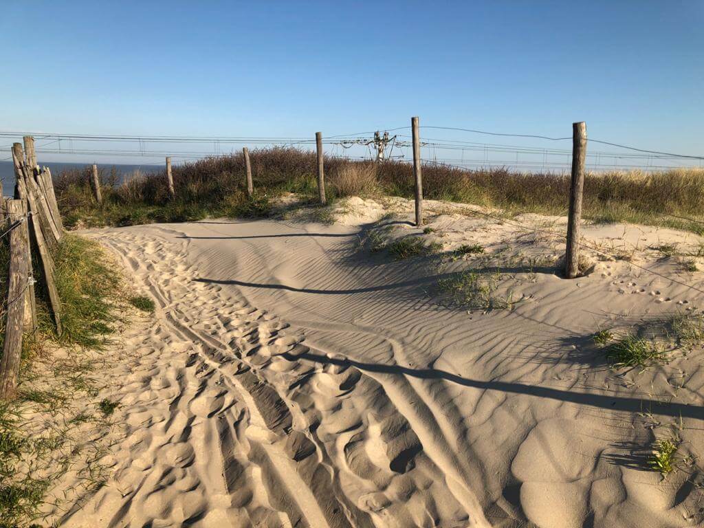 Duinen naar zee